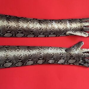 Reptile Patterned Gloves for Pets